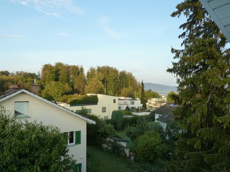 Wohnen im Zollikerberg (2)