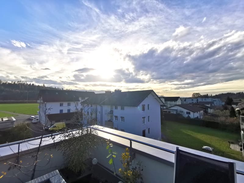 Aussicht über die Dücher, südwest
