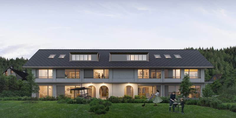 Neubau - einzigartige Dachwohnung in Muttenz (1)