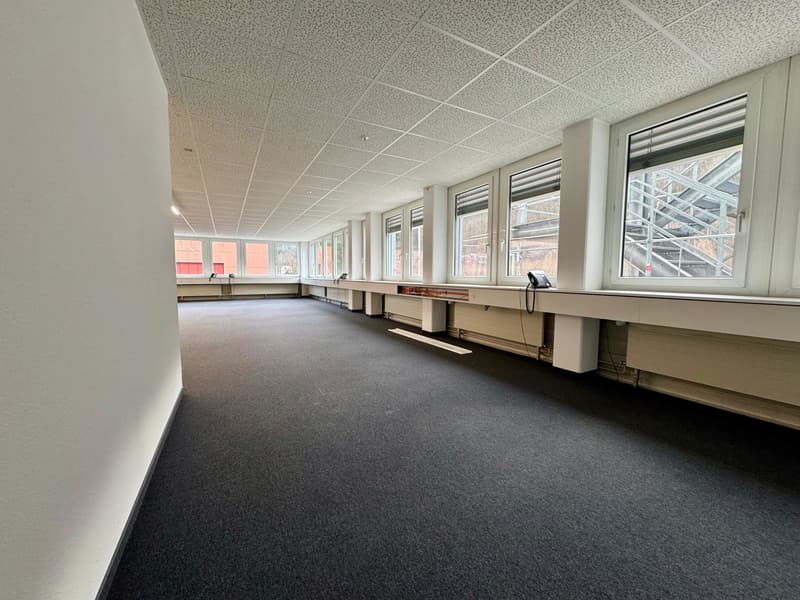 Light-filled & spacious (3)
