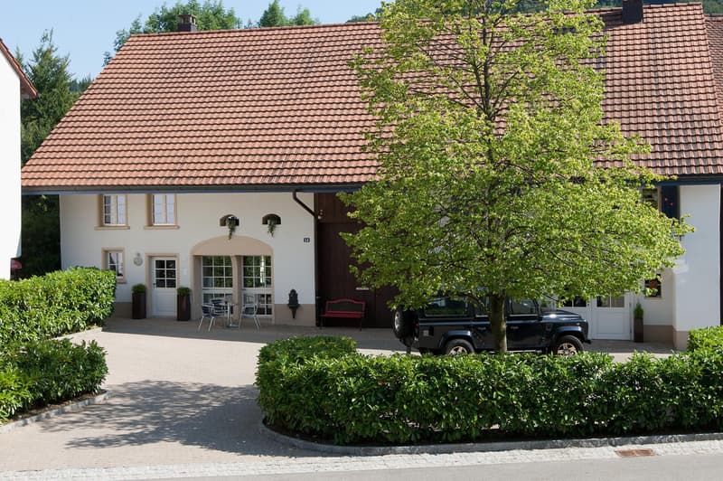 Modern renoviertes Juwel mit Garten (1)