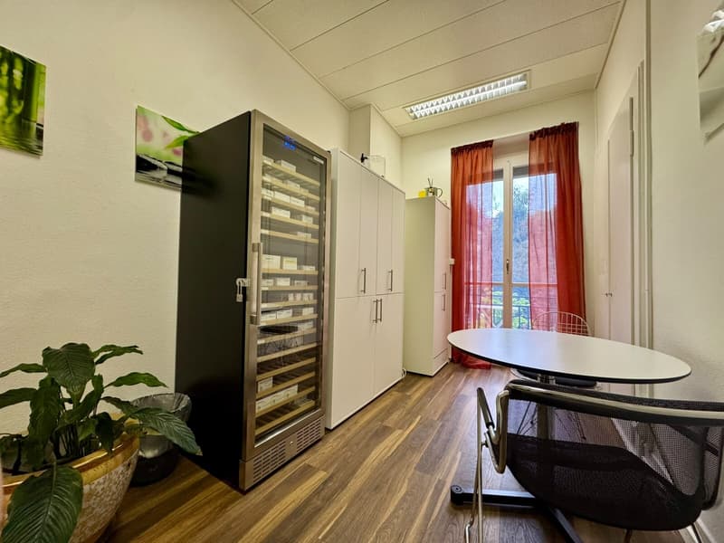 Exklusive Praxis- & Büroräume im Zürich-Seefeld (5)