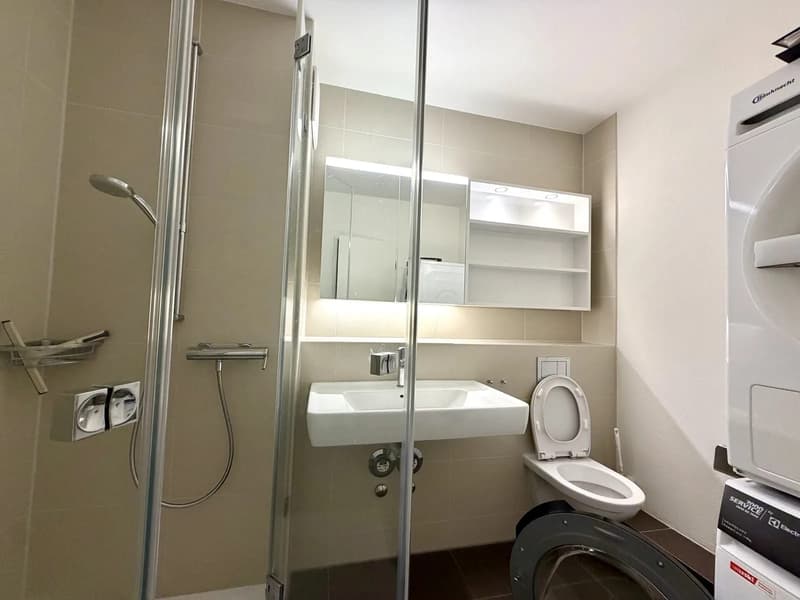 3-Zimmer-Wohnung mit Balkon in Basel mieten - zentral in Kleinbasel (5)
