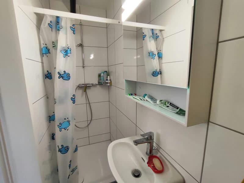 2.5-Zimmer-Wohnung in Zürich-Oerlikon mieten (8)