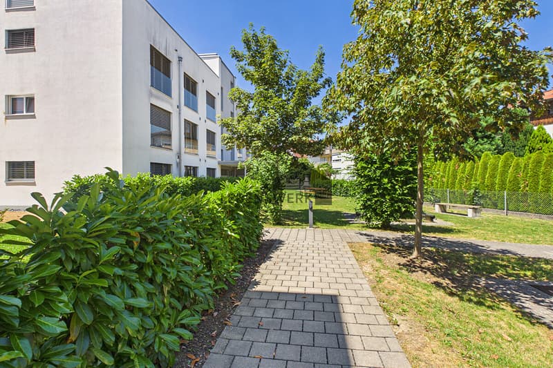 Gepflegtes Wohnumfeld mit grünen Aussenbereichen