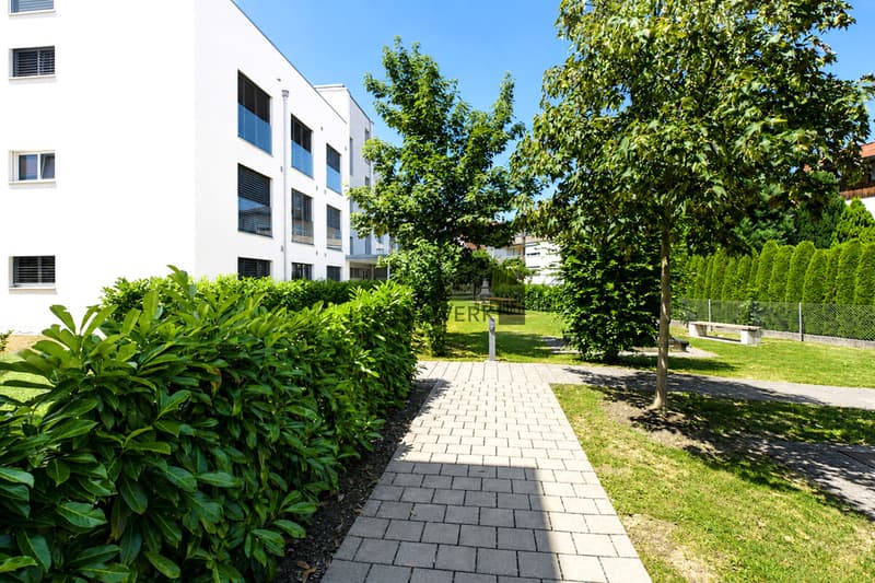 Gepflegtes Wohnumfeld mit grünen Aussenbereichen