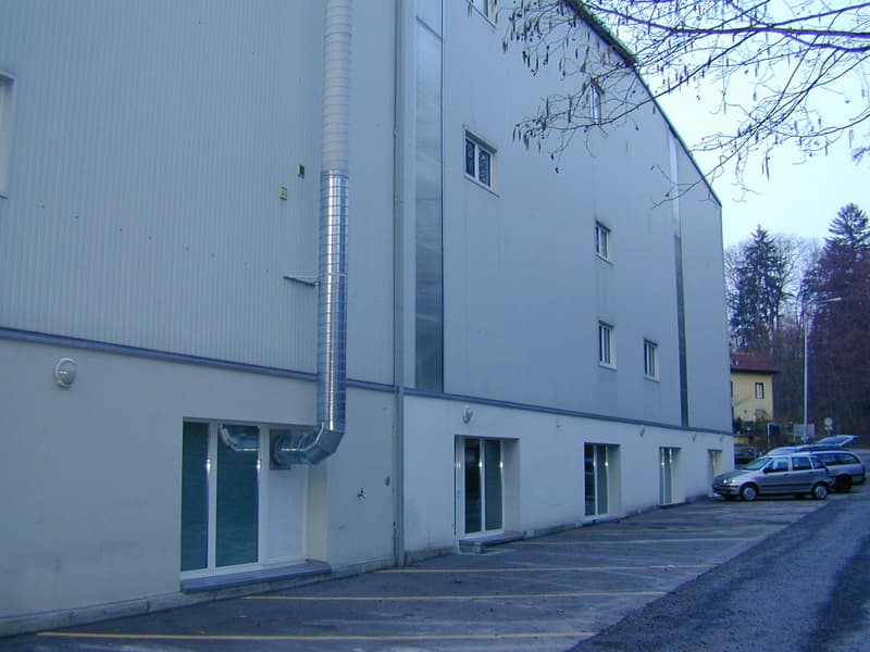 Gewerbe-/Lagerraum (270 m²) im Industriegebiet Grossacher (1)