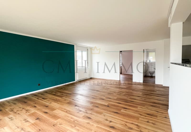 empty room, wooden floor, white walls, green accent wall, windows, doors