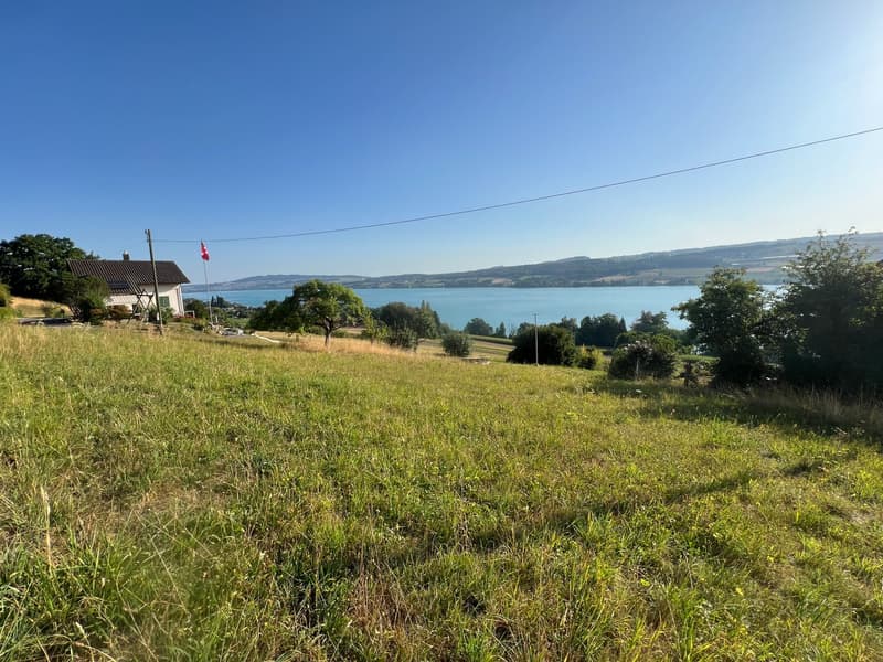 Einmalige Gelegenheit: Bauland mit unverbaubarer Seesicht am Hallwilersee (6)