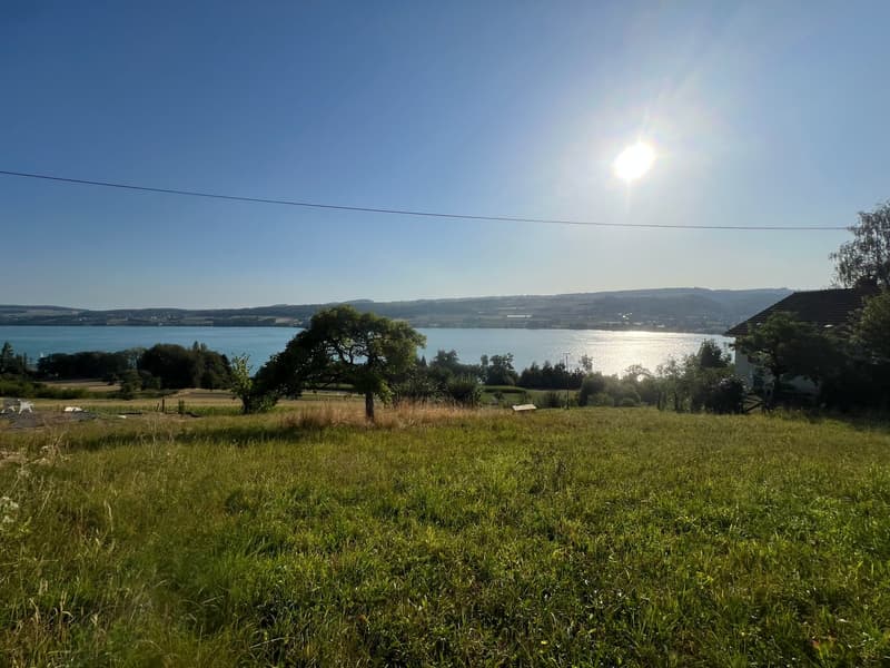 Einmalige Gelegenheit: Bauland mit unverbaubarer Seesicht am Hallwilersee (7)