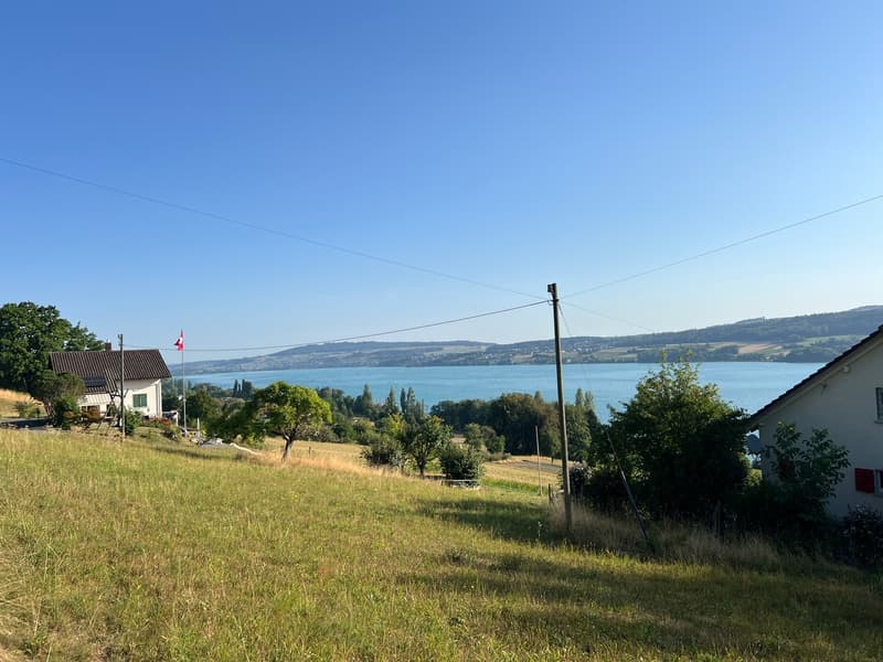 Einmalige Gelegenheit: Bauland mit unverbaubarer Seesicht am Hallwilersee (4)