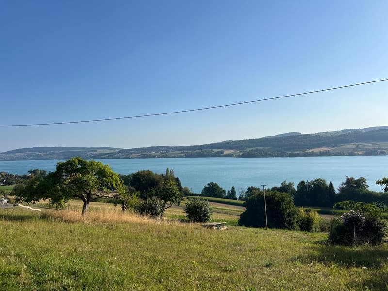 Einmalige Gelegenheit: Bauland mit unverbaubarer Seesicht am Hallwilersee (2)