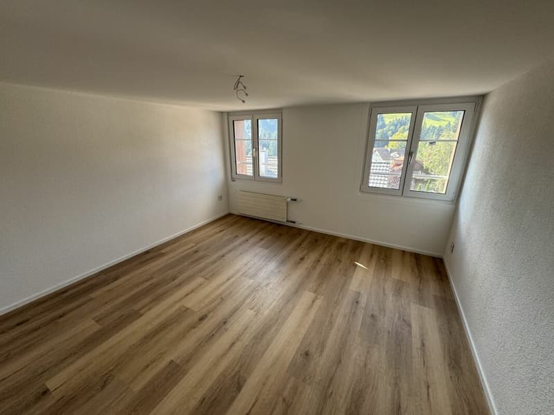 Appartamento luminoso & moderno 3.5 locali (5)
