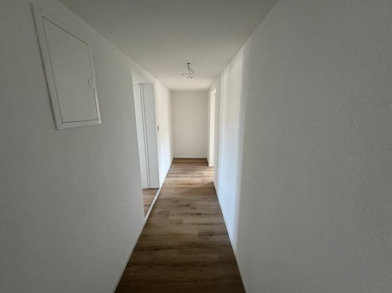 Appartamento luminoso & moderno 3.5 locali (3)