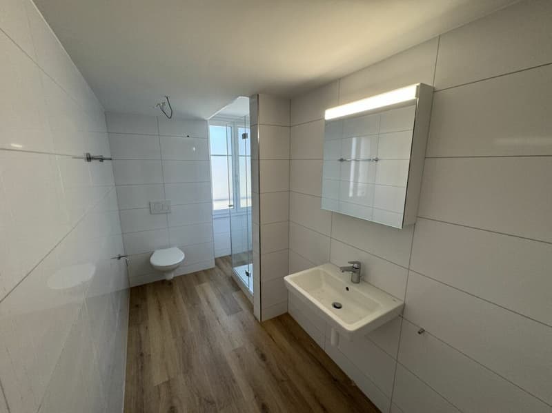 Appartamento luminoso & moderno 3.5 locali (2)
