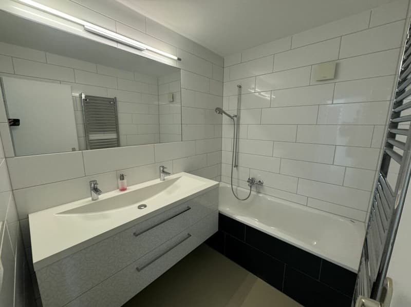 Appartement maisonnette modernisé de 5,5 pièces (8)