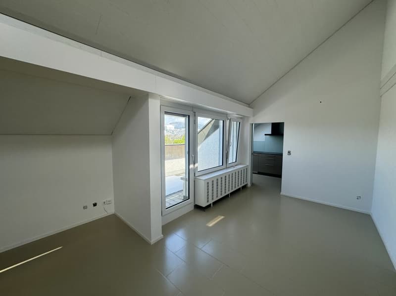 Appartement maisonnette modernisé de 5,5 pièces (9)