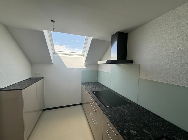 Appartement maisonnette modernisé de 5,5 pièces (4)
