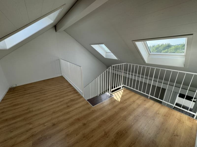 Appartement maisonnette modernisé de 5,5 pièces (13)
