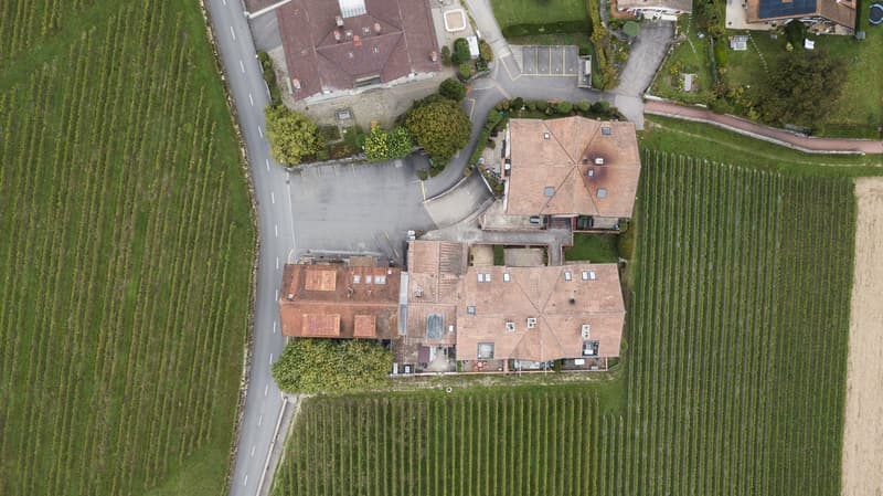 Grande chambre meublée 35 m² avec vue sur le lac, 4 km de Nyon, contrat de 6 mois (9)