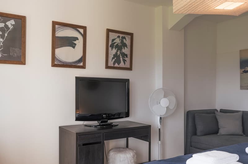 Grande chambre meublée 35 m² avec vue sur le lac, 4 km de Nyon, contrat de 6 mois (5)