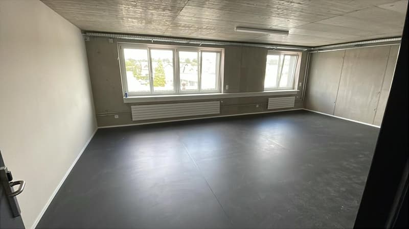 A room with white walls and grey concrete floor. It has two large windows on the wall, two white radiators and one ceiling lamp.