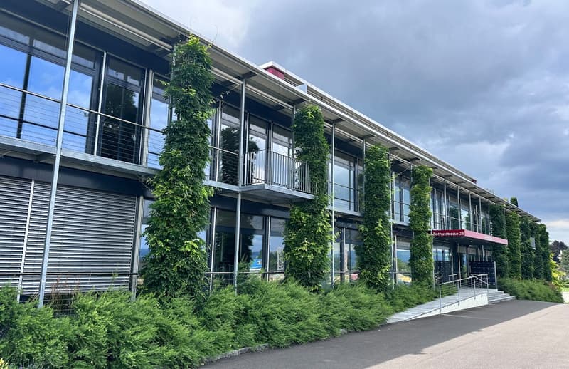 modern building, glass windows, metal railings, green plants, entrance with steps