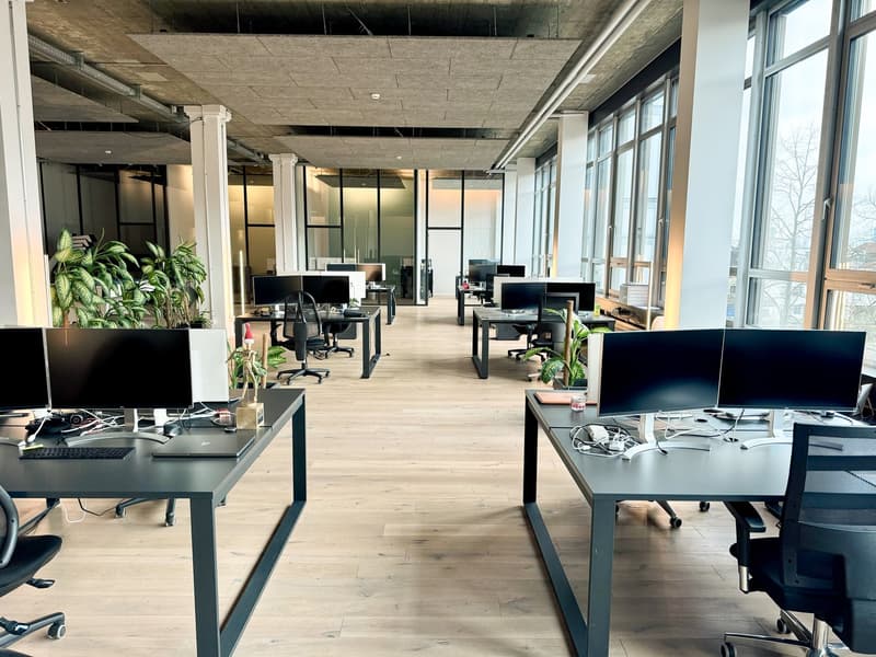 Modernes und helles Büro direkt an der Aare mit 393 m² zur Nachmiete. Helles Loft mit 3.75m Raumhöhe (4)