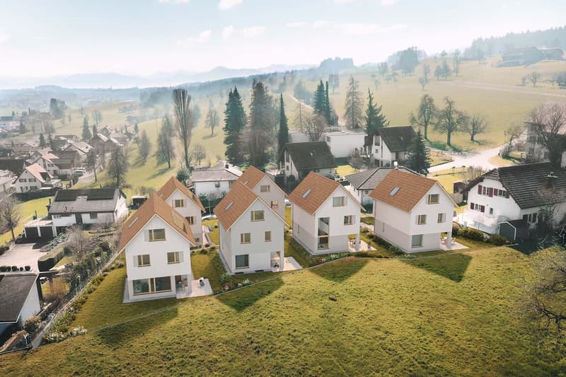Five new houses, modern architecture, open plan design, large windows, set in a rural landscape with grass, trees, and mountains in the background.