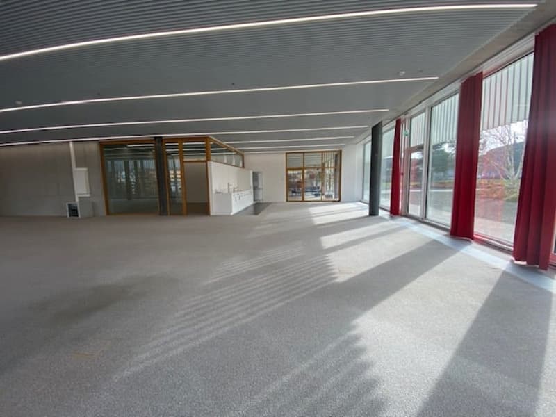 open space, large windows, carpet floor, high ceiling