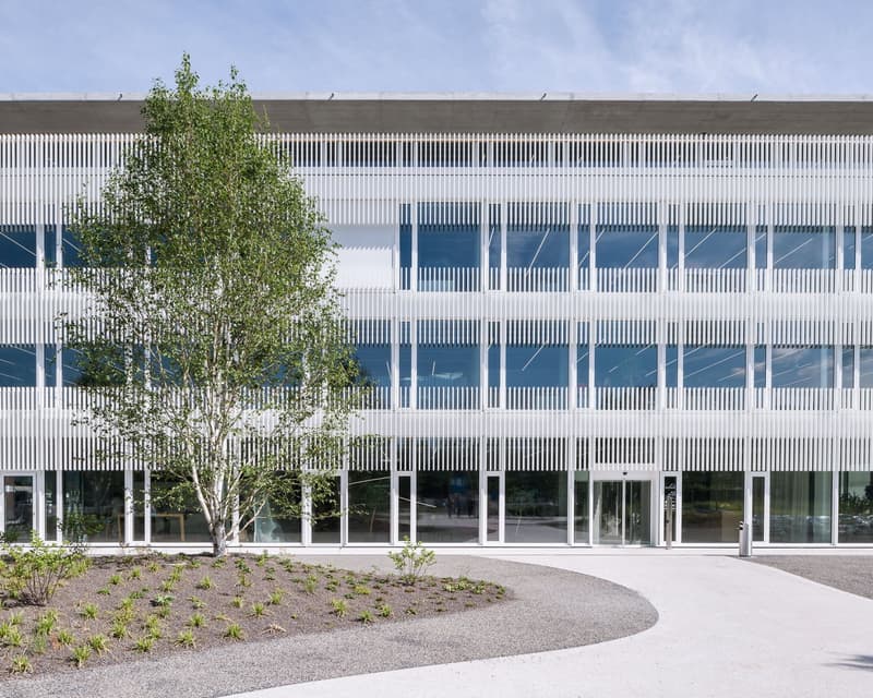 modern building, large glass windows, multiple floors, concrete facade with white vertical slats, main entrance, tree in front