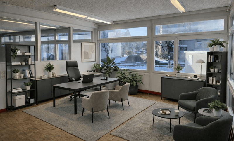Open space office with a desk, a few chairs, a carpet, a rug, a round table, a lamp, potted plants, and bookshelves.