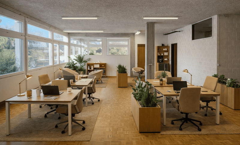 Open office with large windows, wooden desks, white walls, potted plants, office chairs