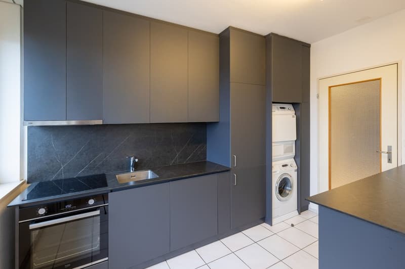 modern kitchen, gray cabinets, black countertops, stainless steel sink, black induction cooktop, dishwasher and washing machine in corner