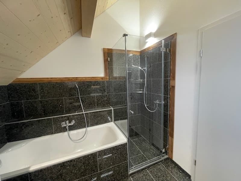 Bel et grand appartement de 4,5 pièces sous les combles avec confort moderne (3)