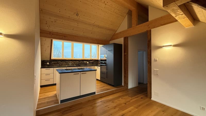 Bel et grand appartement de 4,5 pièces sous les combles avec confort moderne (10)