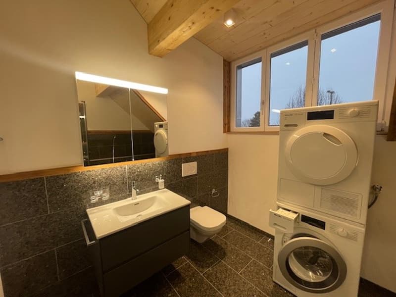 Bel et grand appartement de 4,5 pièces sous les combles avec confort moderne (2)