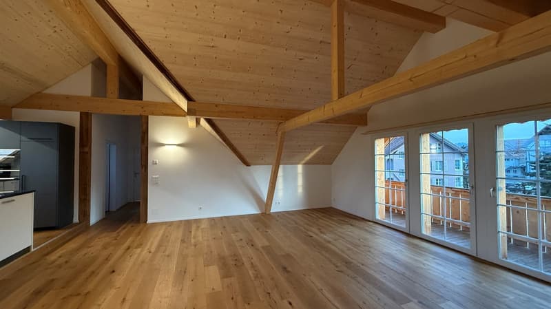 Bel et grand appartement de 4,5 pièces sous les combles avec confort moderne (7)