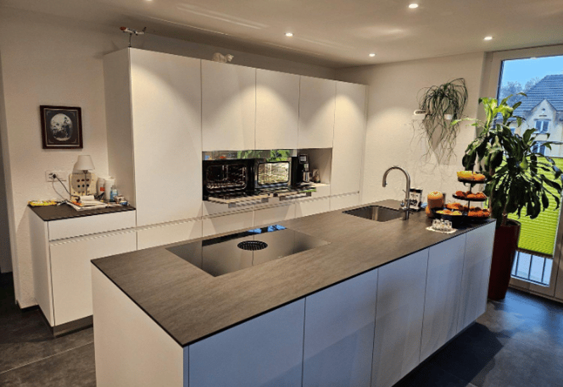 modern kitchen with a large central island, integrated oven, induction hob, two sinks, built-in appliances, potted plants, large window, minimalist design