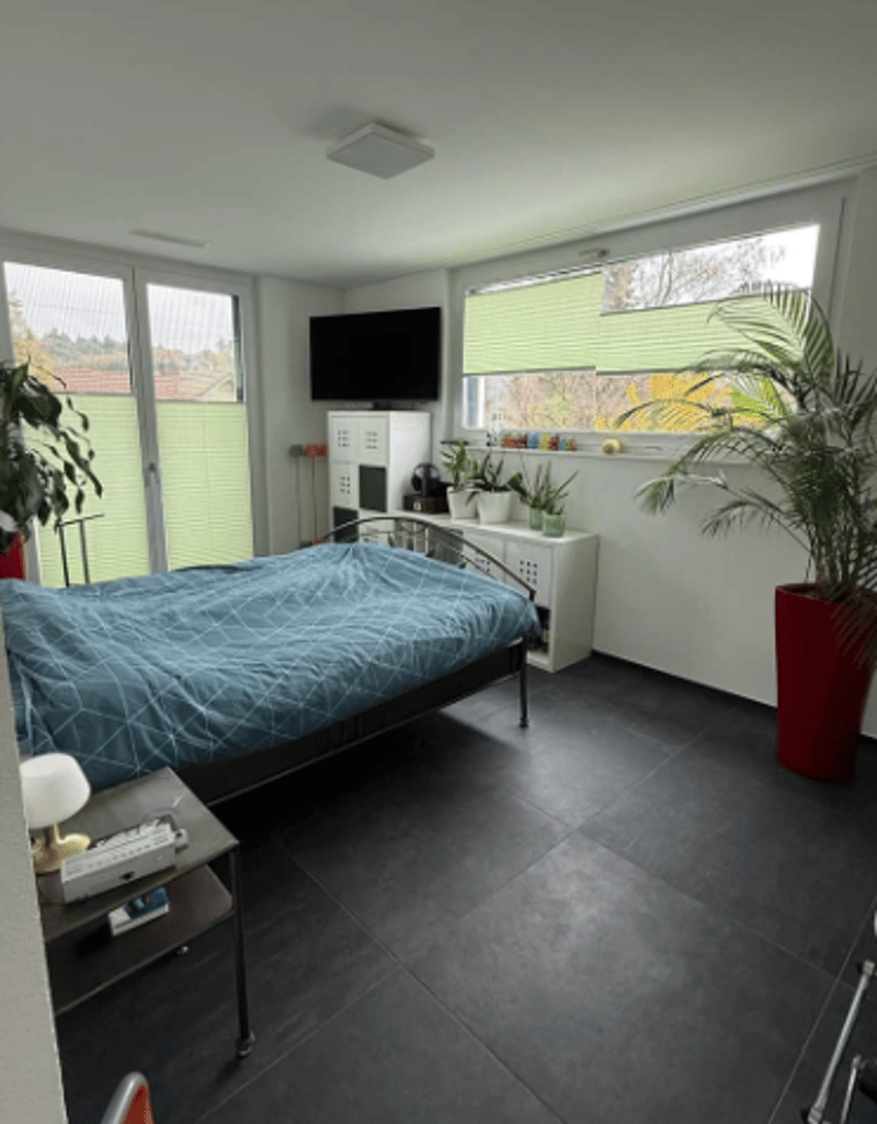 Bedroom with black tiles, double bed, TV, side table, lamps, cabinet with potted plants, and large glass windows with green blinds.