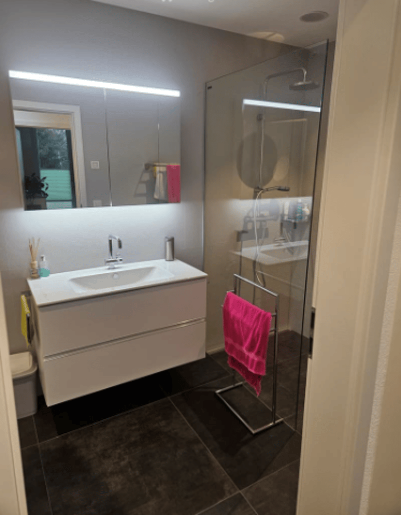 Modern bathroom with glass shower, white vanity, mirror, sink, and a towel rack