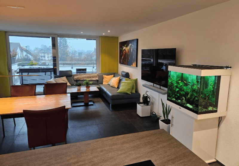 modern open space, large glass windows, terrace, dining area, living area, aquarium, fireplace