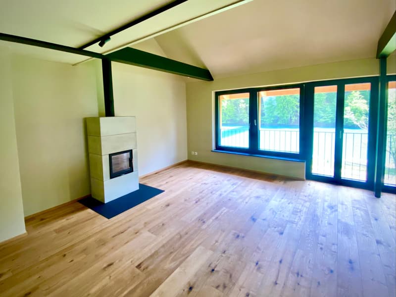 Large empty room, fireplace, large windows, balcony, hardwood floor, modern design, sliding windows