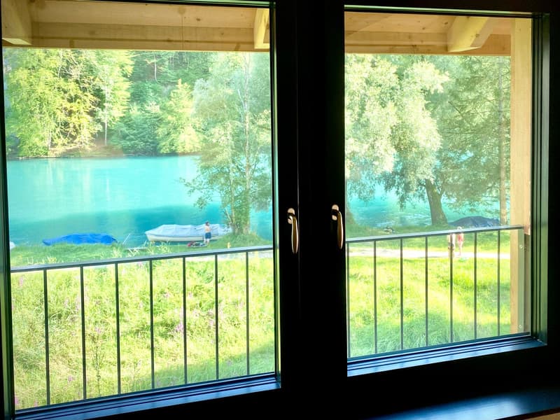 double glass door with wooden frame and handles, metal railings on balcony, scenic lake view with trees and grassy land