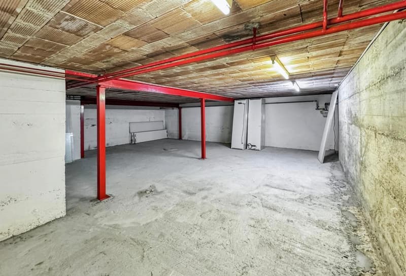 Casa residenziale e commerciale come oggetto di investimento con 7% di rendita o uso personale (34)