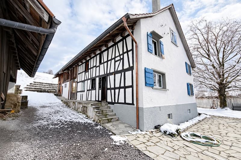 Befristet: Charmantes 5.5-Zimmer-Bauernhaus in ruhiger Lage in Horgen (1)