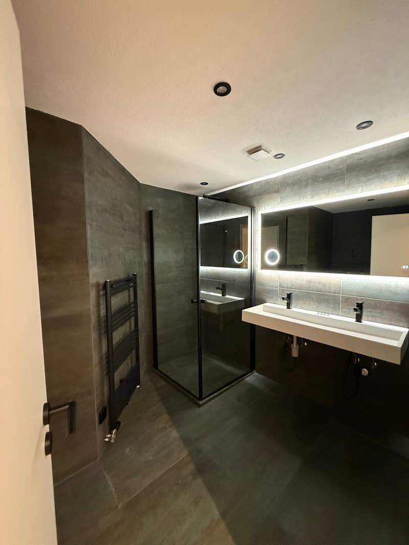 modern bathroom with gray walls, glass shower, double sink, large mirror, towel rack