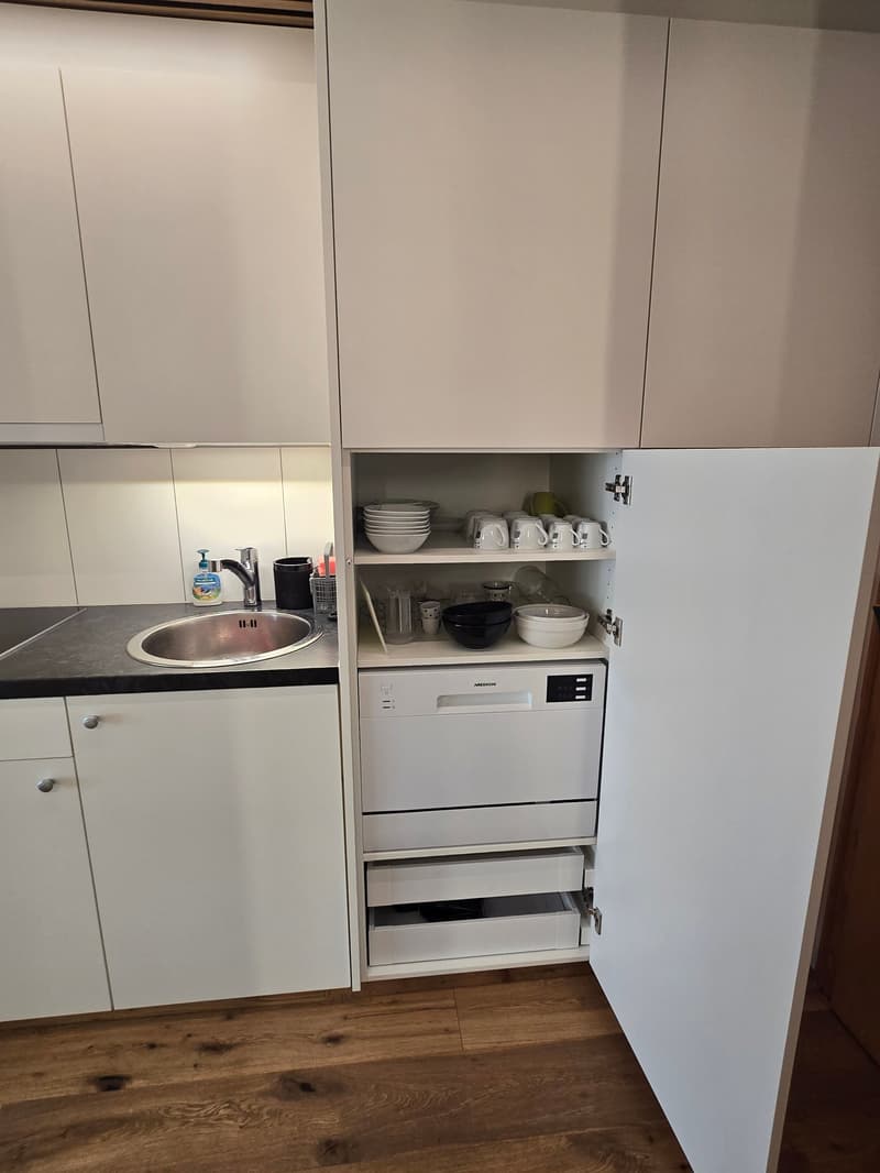 modern kitchen with white cabinets, wooden floor, stainless steel sink, dishwasher, and a cabinet with shelves and drawers