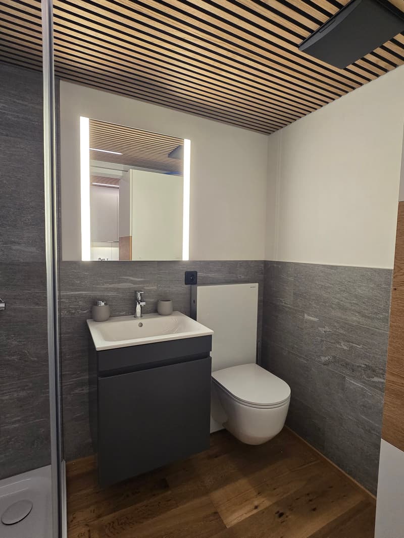 modern bathroom with wooden floor, gray walls, white sink, mirror, toilet, shower