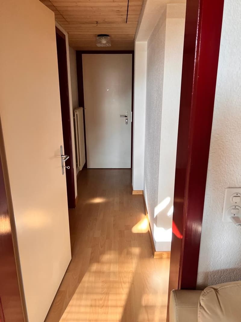 Empty hallway with wooden floor, white walls, white door, ceiling light, and a power outlet.